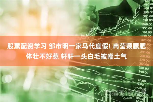 股票配资学习 邹市明一家马代度假! 冉莹颖膘肥体壮不好惹 轩轩一头白毛被嘲土气