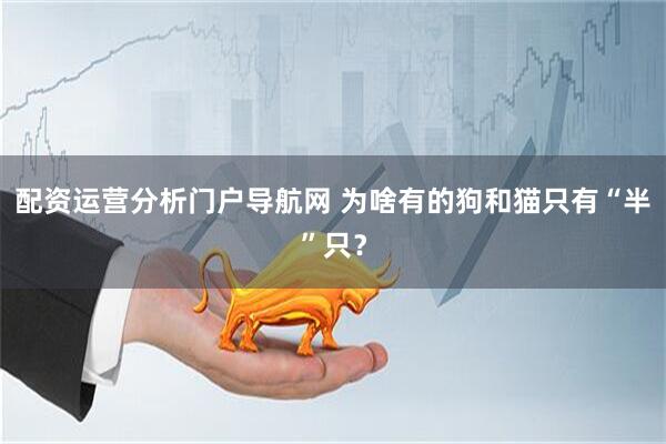配资运营分析门户导航网 为啥有的狗和猫只有“半”只？