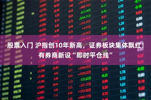 股票入门 沪指创10年新高，证券板块集体飘红！有券商新设“即时平仓线”